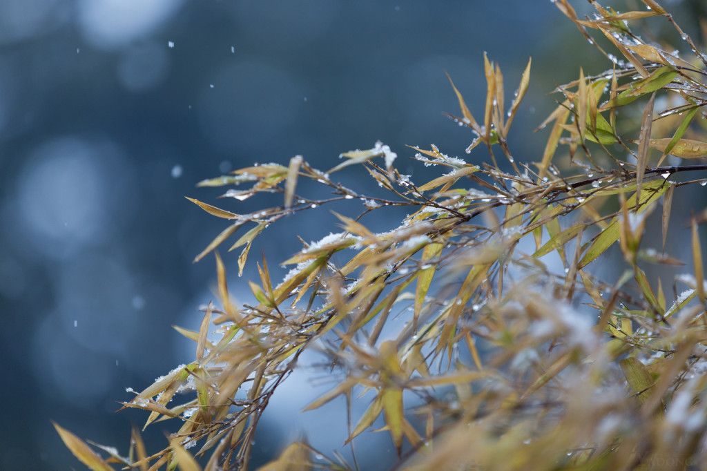 伺服糾偏廠家-小雪快樂凜冬將至